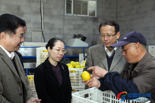 明星企業(yè),歐迪實(shí)業(yè),慶元OUDI,慶元AIRWOMAN,眉筆,眼線(xiàn)筆,唇線(xiàn)筆,眼影,指甲油,眼影,口紅,唇彩,彩妝系列,慶元化妝品,慶元進(jìn)出口