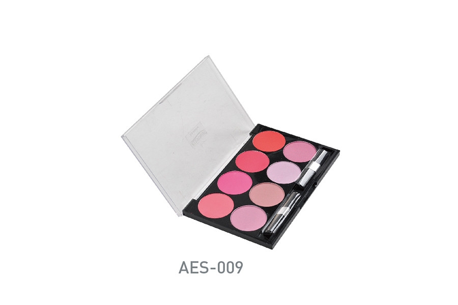 AES-009