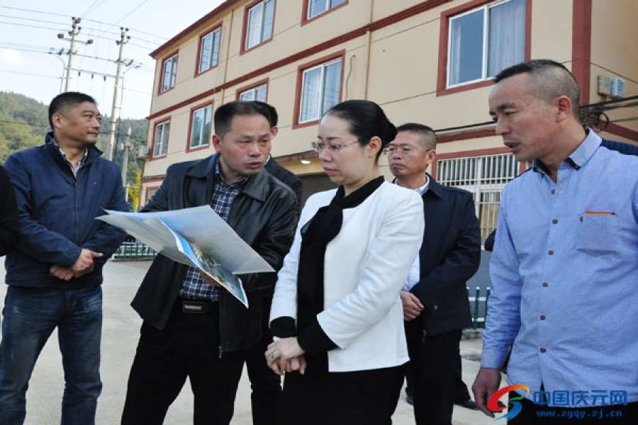 縣委書記藍伶俐走訪歐迪實業(yè)