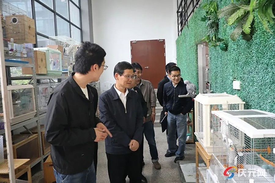 蔡昉調(diào)研營(yíng)商環(huán)境優(yōu)化提升“一號(hào)改革工程”推進(jìn)情況