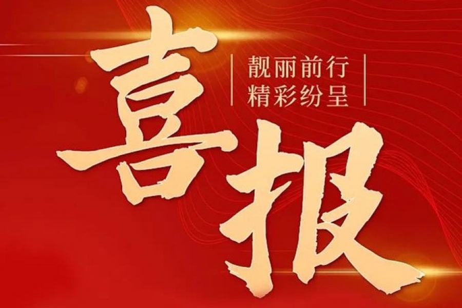 喜報｜浙江慶元歐迪實業(yè)有限公司榮獲2023年度“浙麗·清廉民營企業(yè)”