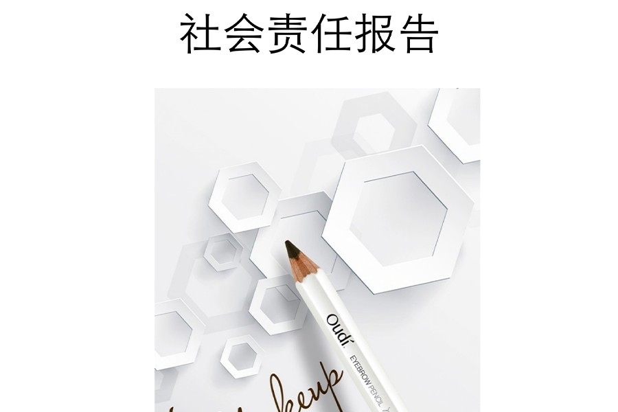 社會責(zé)任報告